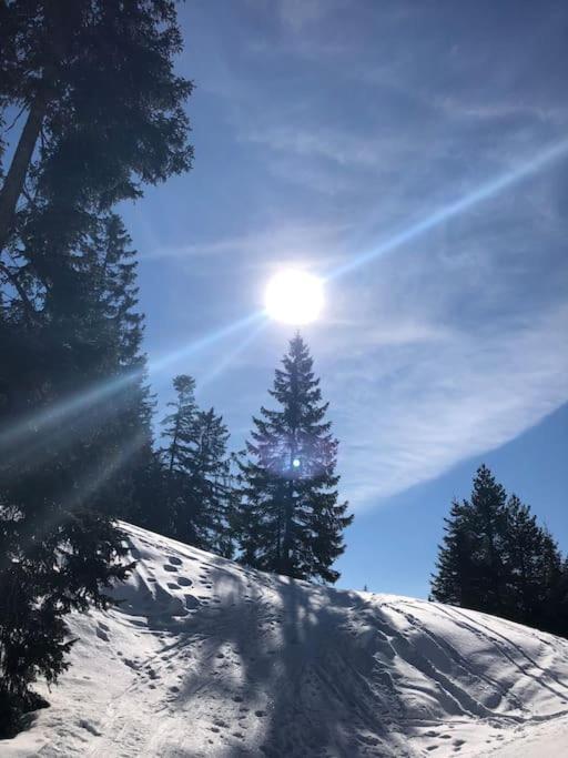 Sonniges Apartment Mit Hallenbad Und Sauna In Seefeld Seefeld in Tirol Esterno foto