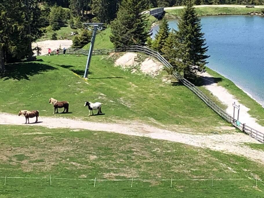 Sonniges Apartment Mit Hallenbad Und Sauna In Seefeld Seefeld in Tirol Esterno foto